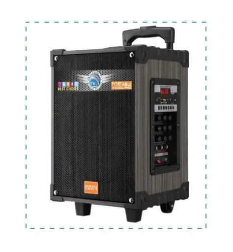 Cabina Super Bass 8 Pulgadas LT-908