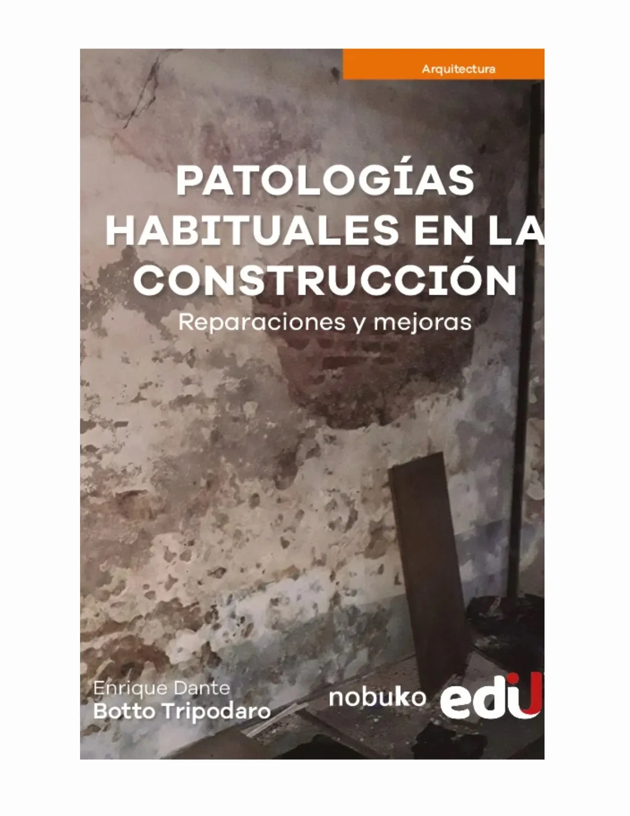 Patologias Habituales En La Construccion