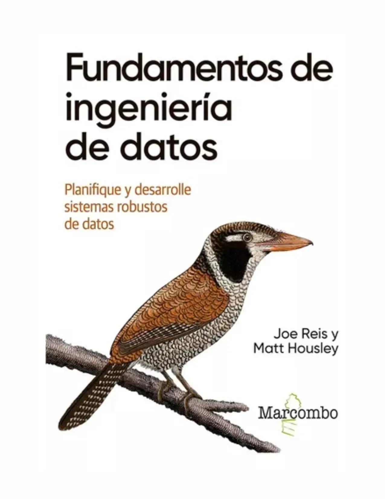 Fundamentos De Ingenieria De Datos