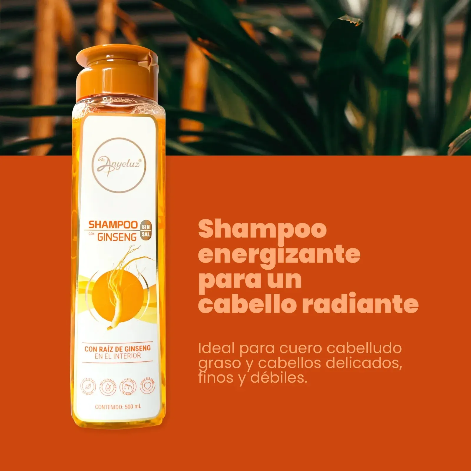 Shampoo Con Ginseng Anyeluz