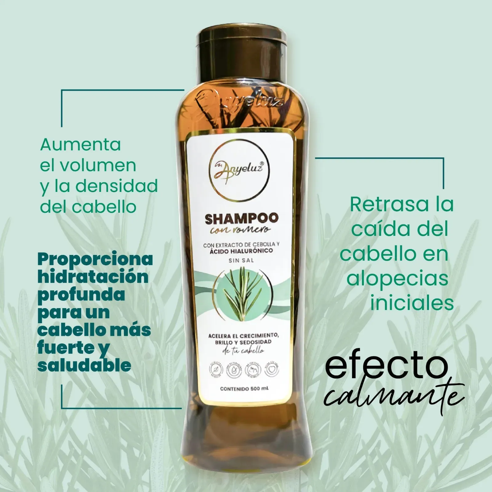 Shampoo Con Romero Anyeluz