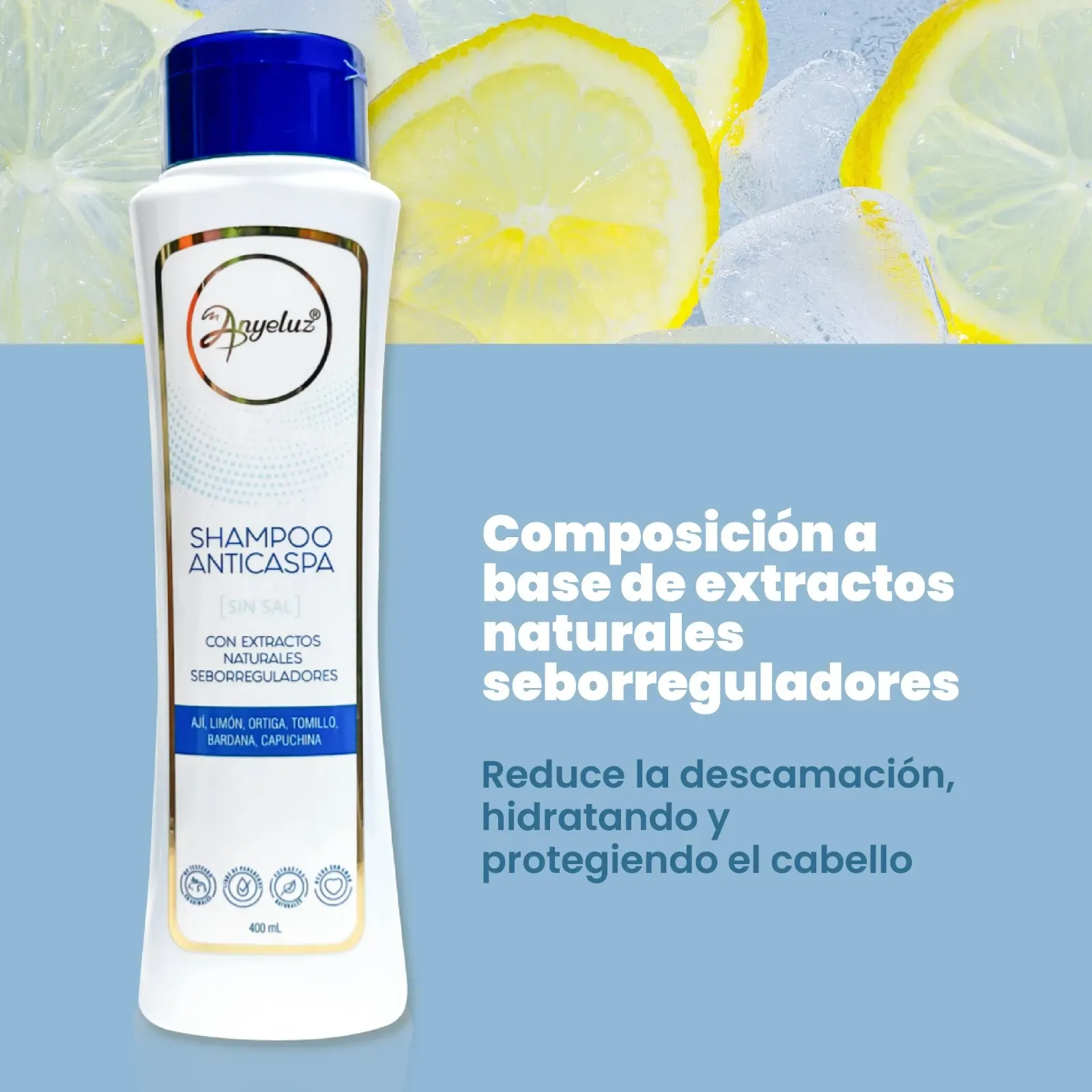 Shampoo Anticaspa Anyeluz