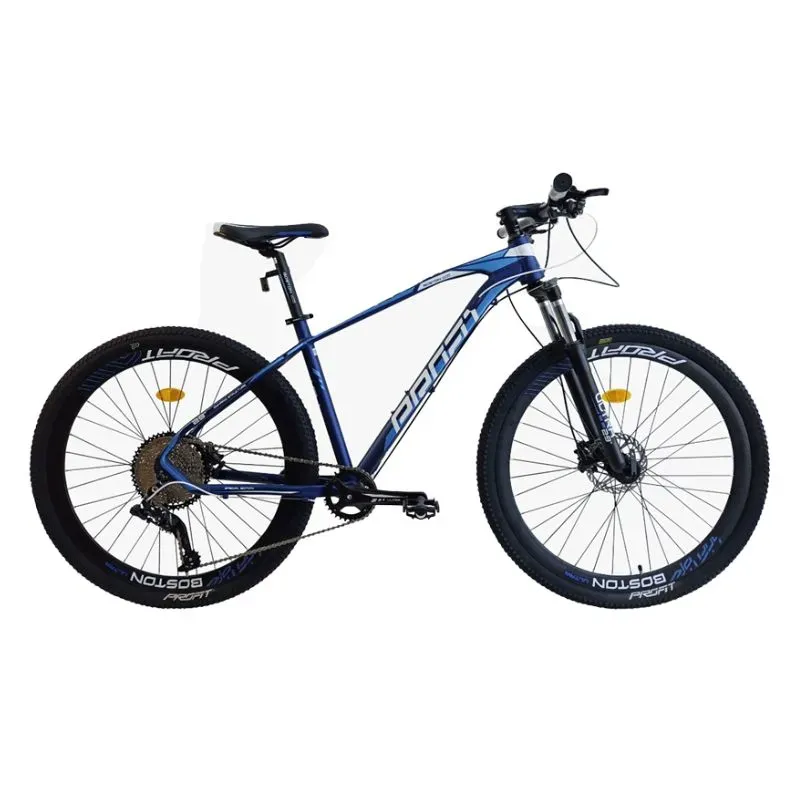 Bicicleta Boston Ultra 12 velocidades Rin 29