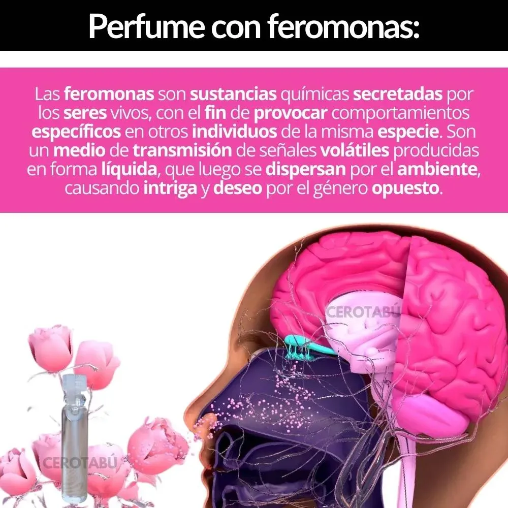 x3 Lubricante Estrechante Vaginal Rejuvenecedor + Feromonas 