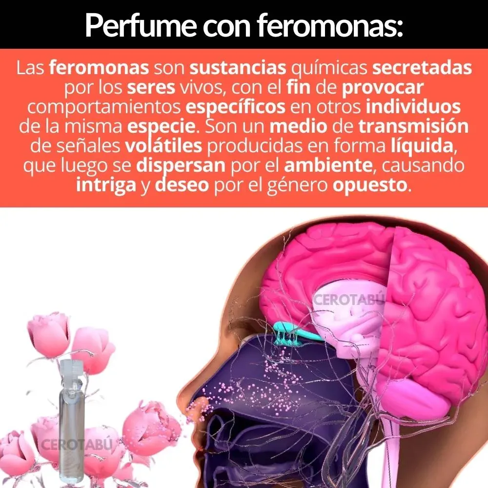 x3 Lubricante Anal Crema Anal Sexo Sin Dolor + Feromonas