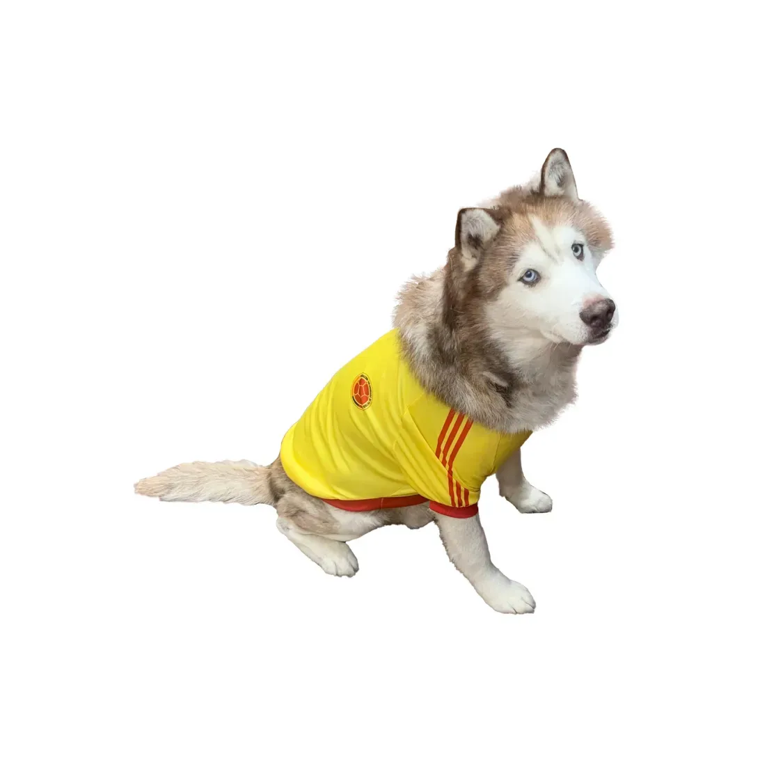 Camisa Para Perro Grande 6 Xl Colombia Copa América