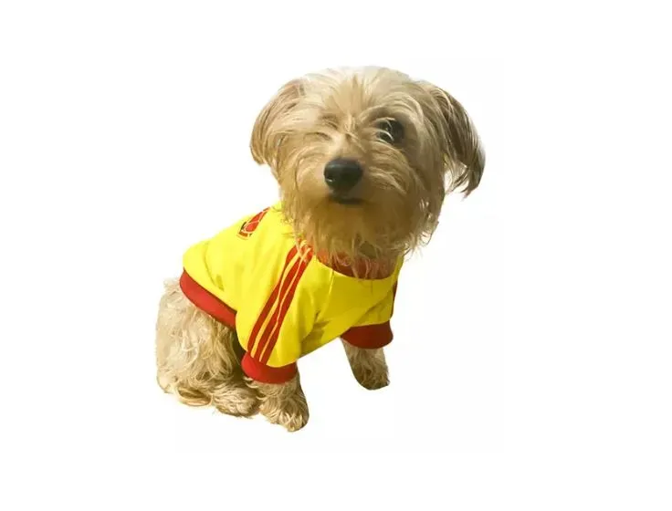 Camisa Ropa Perro Mascota Colombia Copa America Small