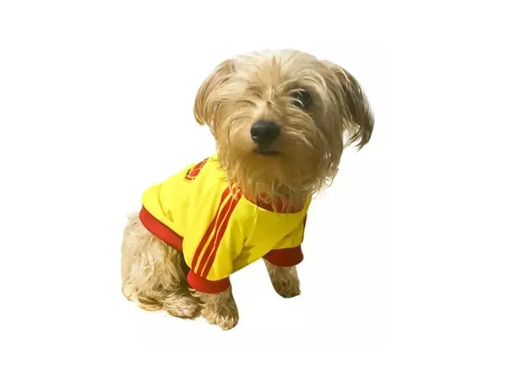 Camisa Para Mascota Perro Mediano M Colombia Copa América