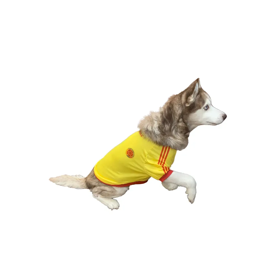 Camisa Para Perro Grande 6 Xl Colombia Copa América