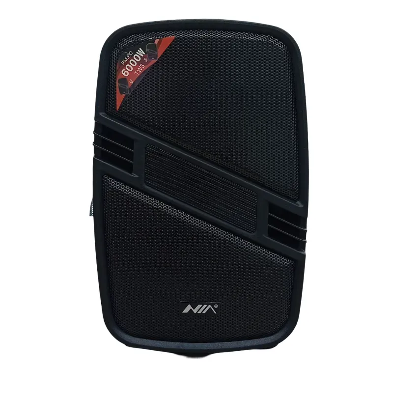 Parlante Profesional NIA AN- 2057 6000w Negro