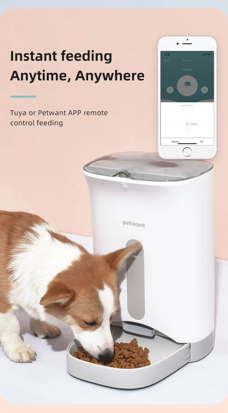 Comedero Automático Inteligente Wifi App Para Perro Y Gato