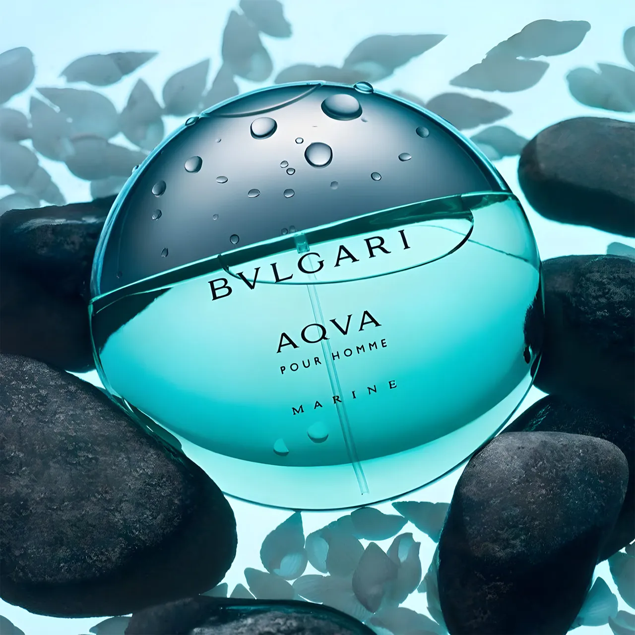 Perfume Bvlgari Aqua Pour Home Marine (Fragancia Masculina)