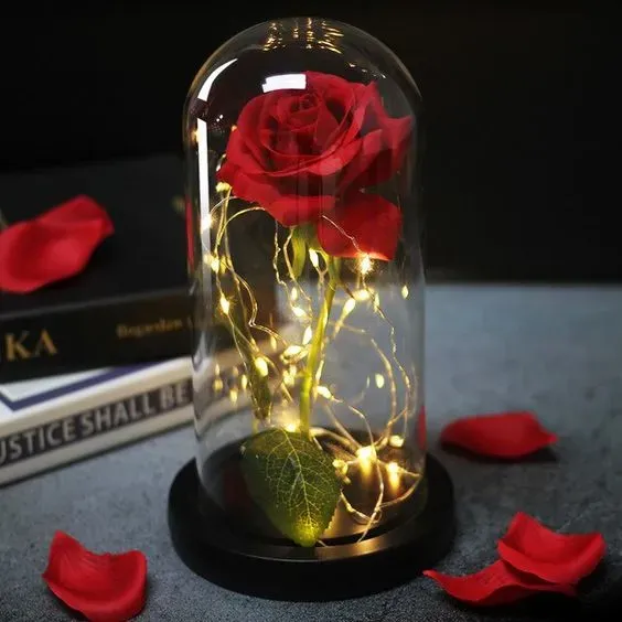 Rosas eterna preservadas led