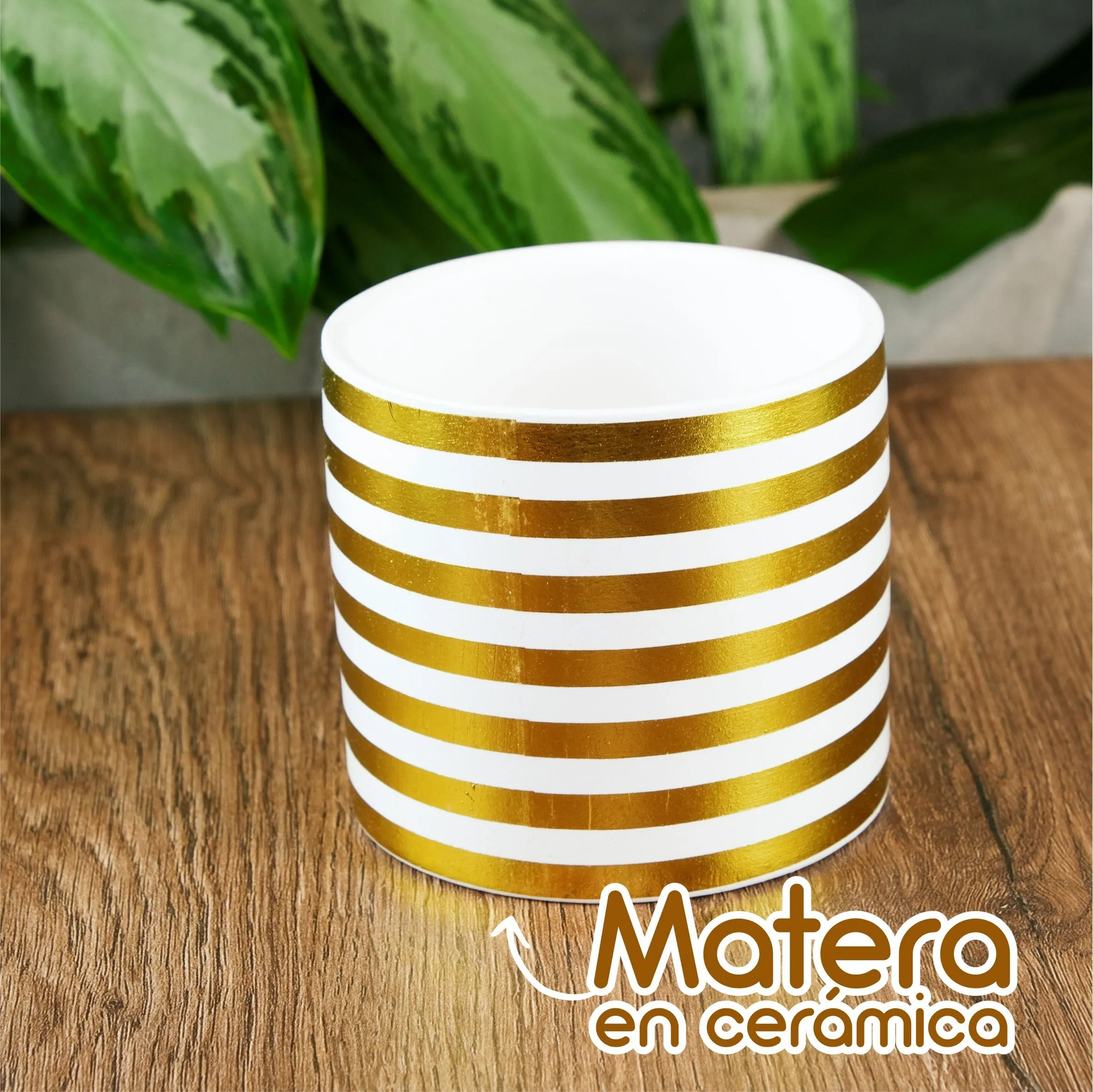 Maceta En Ceramica Diseño Lineas Blanco Con Dorado