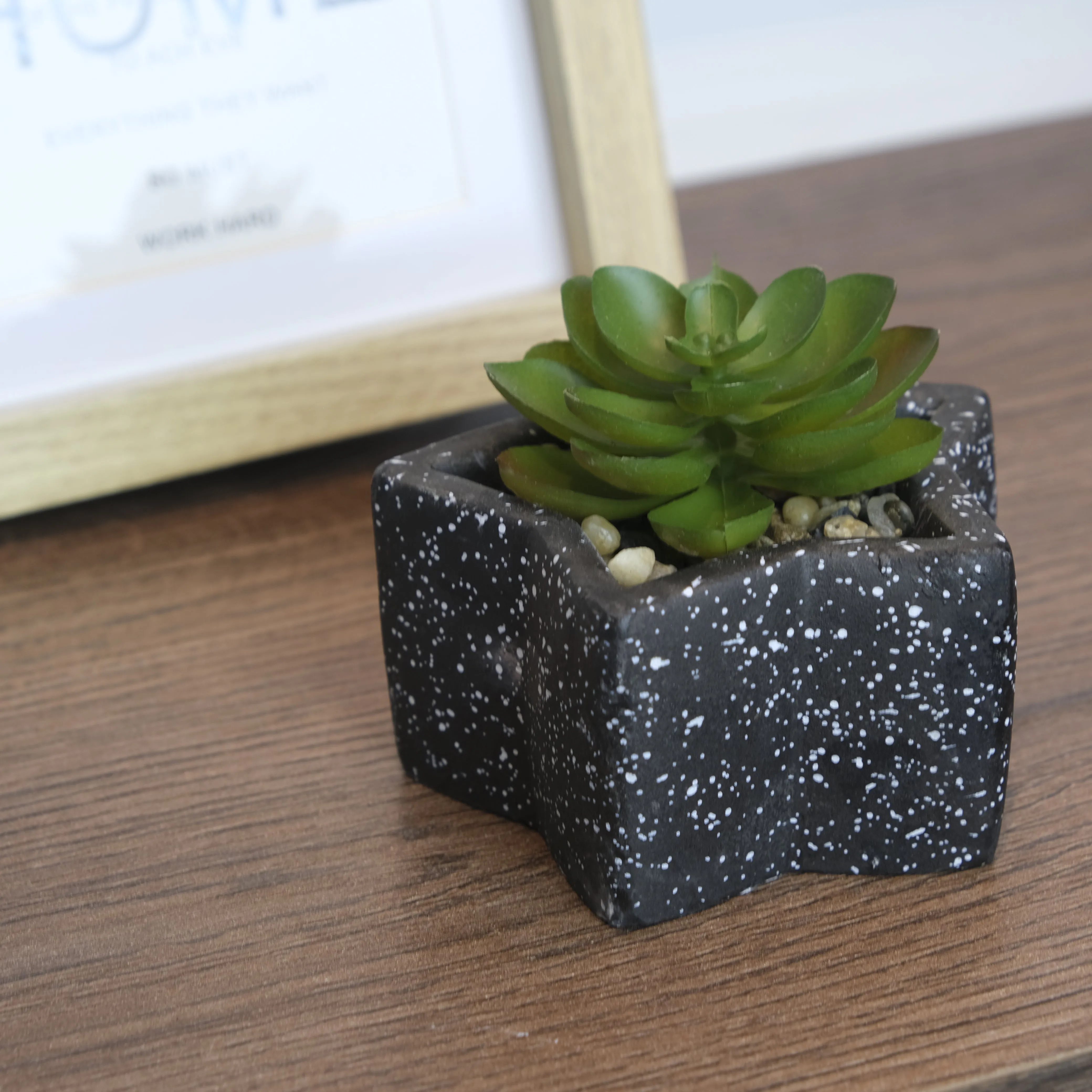 Flor Decorativa Con Maceta Estrella Negra Concreto Lafe