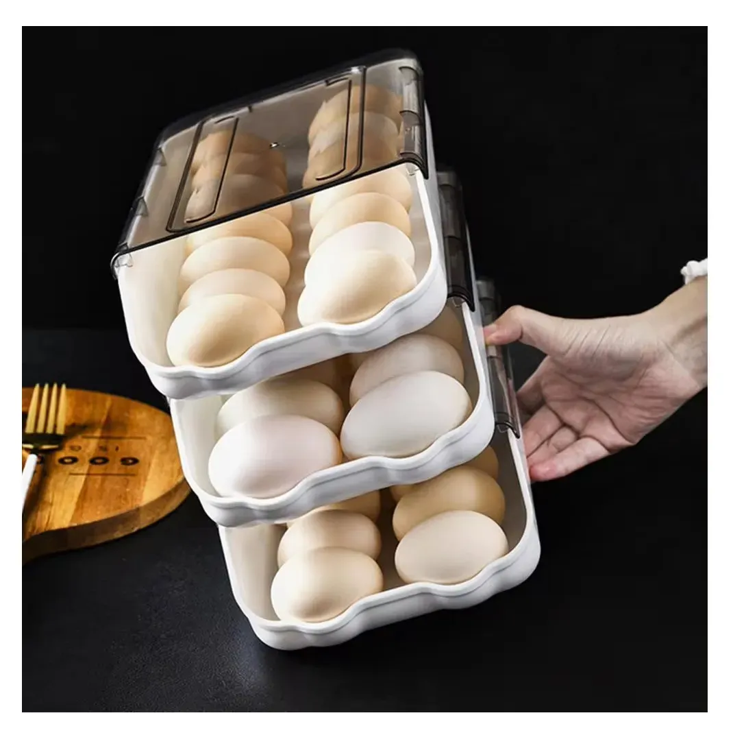 Caja De Almacenamiento De Huevos De Refrigerador Con Cubierta