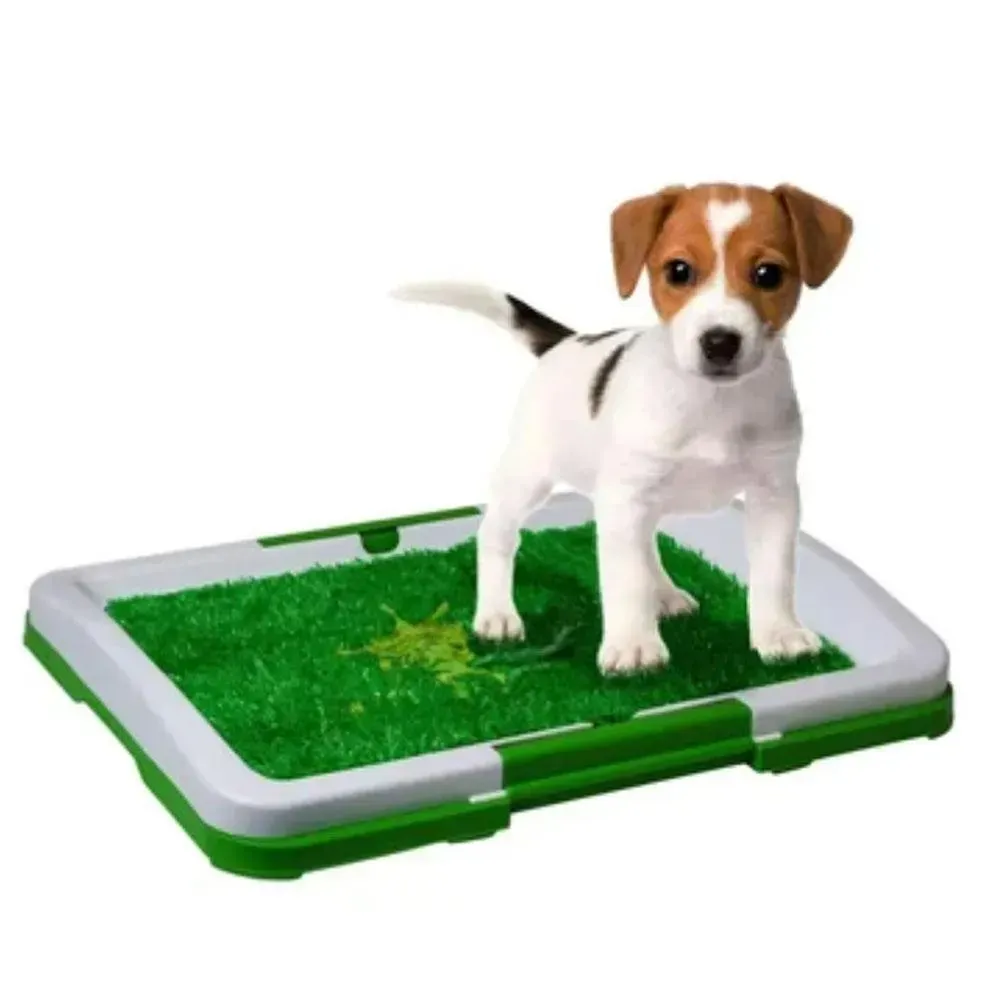 Tapete Entrenamiento Perros Puppy Potty Pad