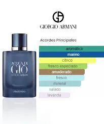 Perfume Acqua di Giò Profondo Giorgio Armani Para Hombres