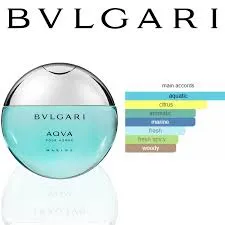 Perfume Aqva Pour Homme Marine Bvlgari Para Hombres