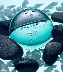 Perfume Aqva Pour Homme Marine Bvlgari Para Hombres