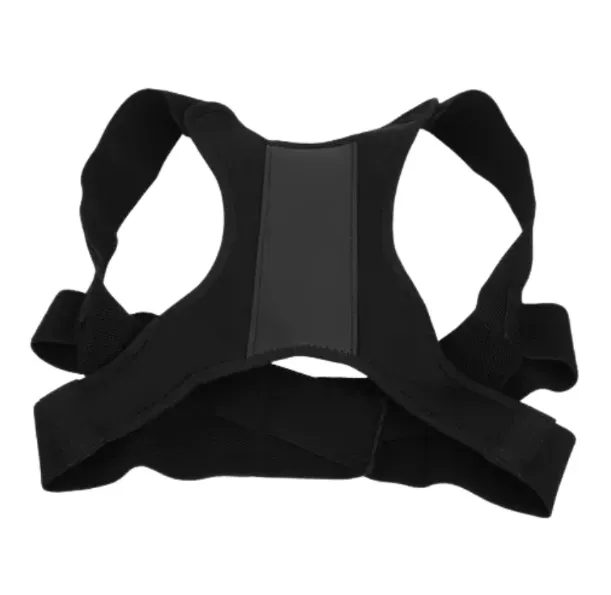 Soporte Vertebral Ergonómico 