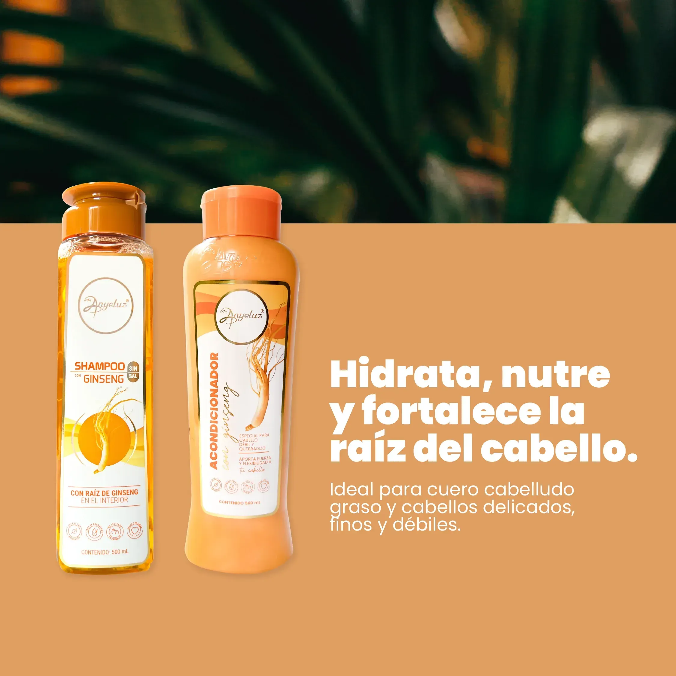 Kit Dúo Ginseng Anyeluz