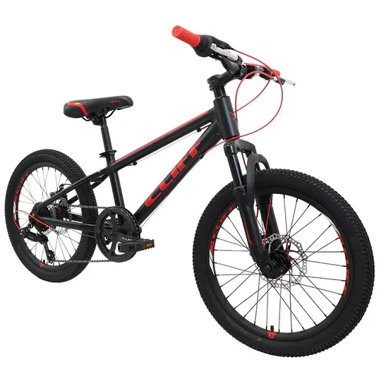 Bicicleta Cliff Lizard Rin 20