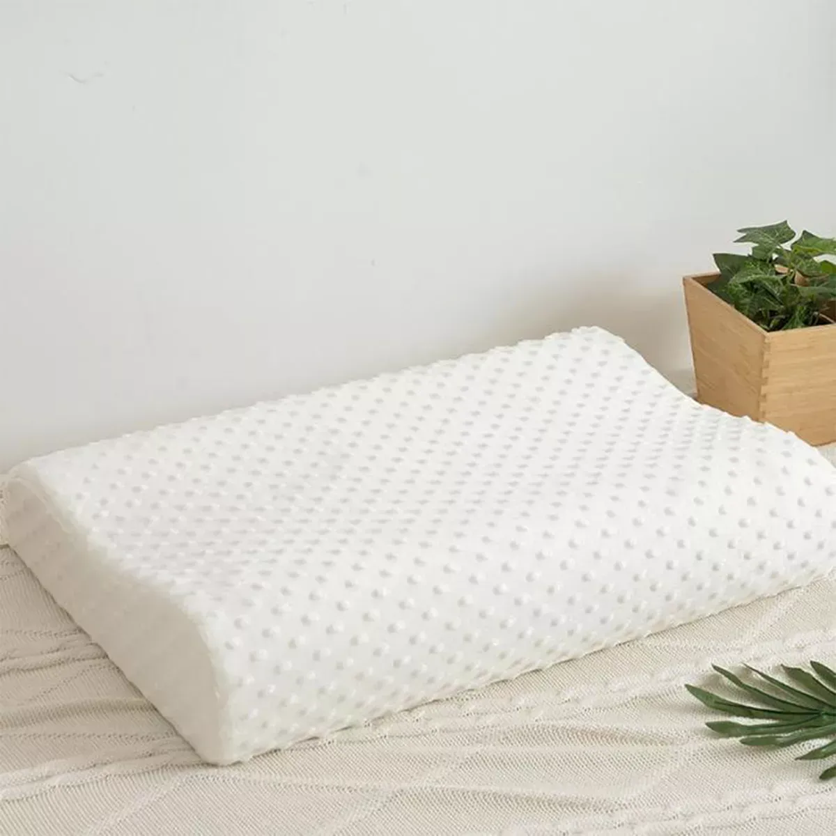 Almohada Ortopédica Ergonómica Con Aloe Vera 50X30 JLC95