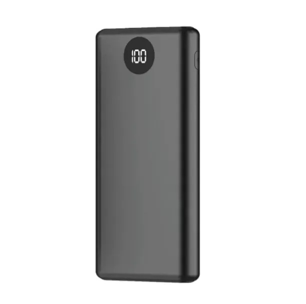 Power Bank 10000mAh PW-1004 Igoma 