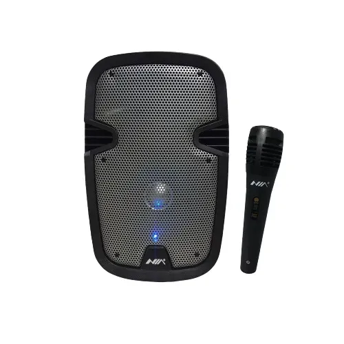 Cabina De Sonido Recargable Nia 6.5"pulgadas an-2051