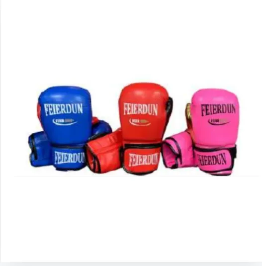 Guantes De Boxeo FED 12oz SC-87076-12 + Protector Bucal Boxing Focus 