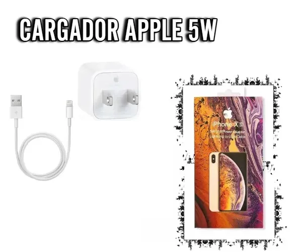 Cargador 5W Para IPhone, Llévalo Contigo A Todas Partes: Pequeño Pero Poderoso