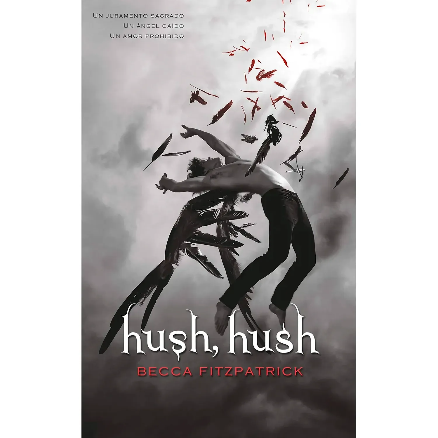 Hush, Hush. Becca Fitzpatrick