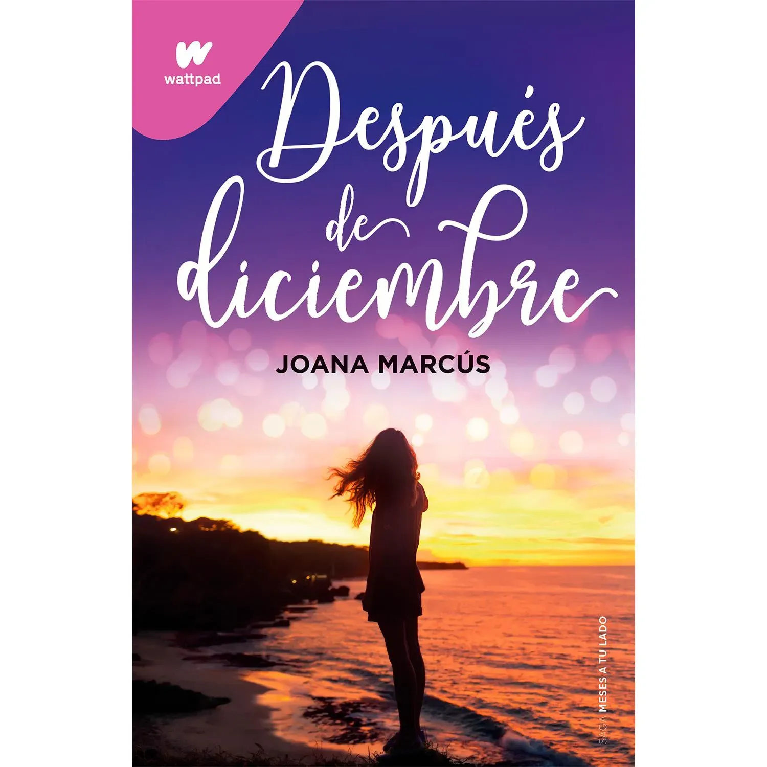 Después De Diciembre. Joana Marcús