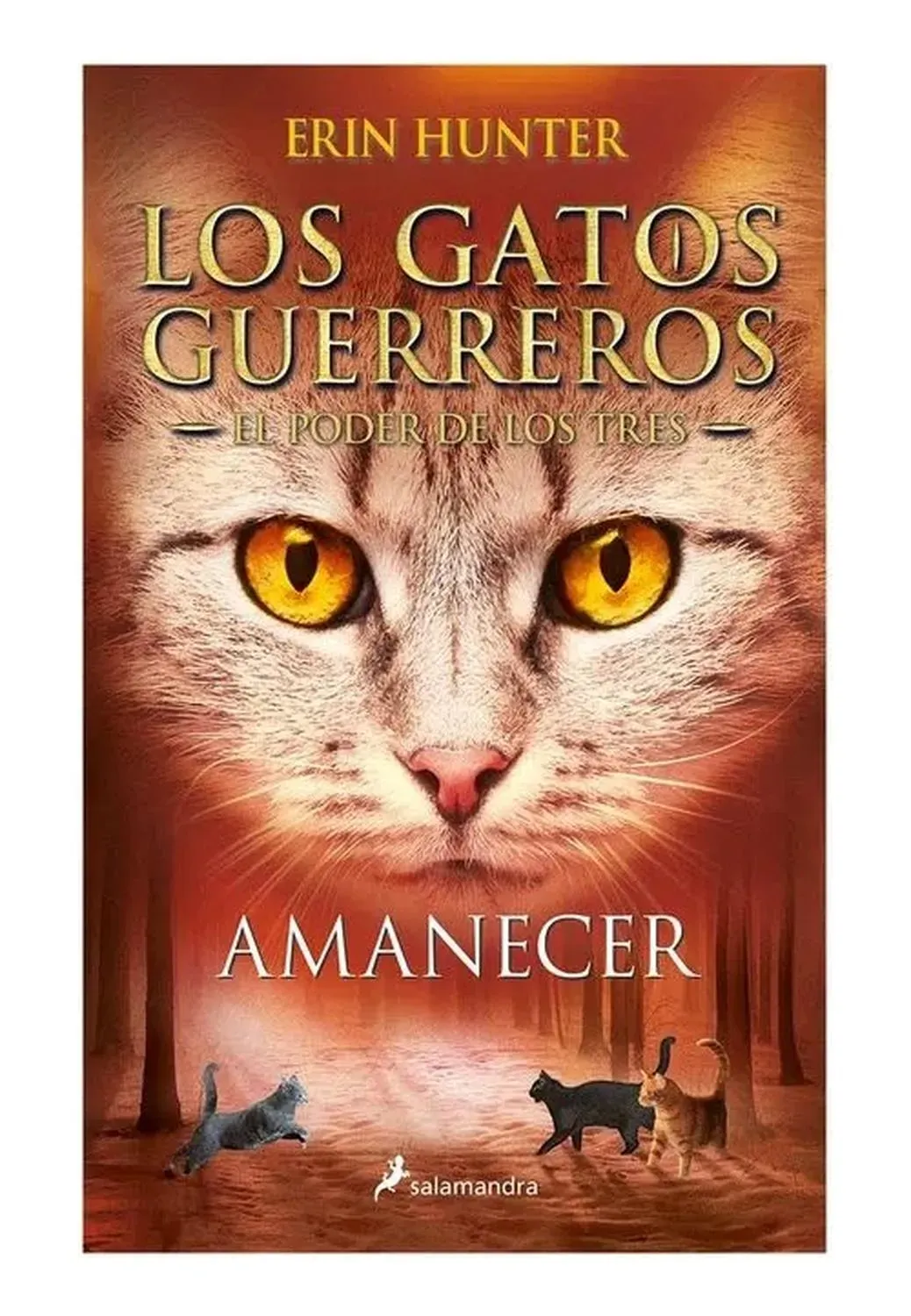 Amanecer. Los Gatos Guerreros. El Poder De Los Tres 6