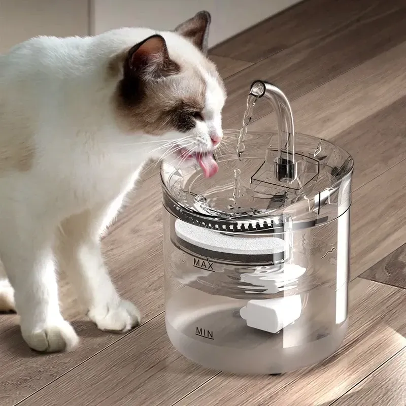 Fuente De Agua Para Gato