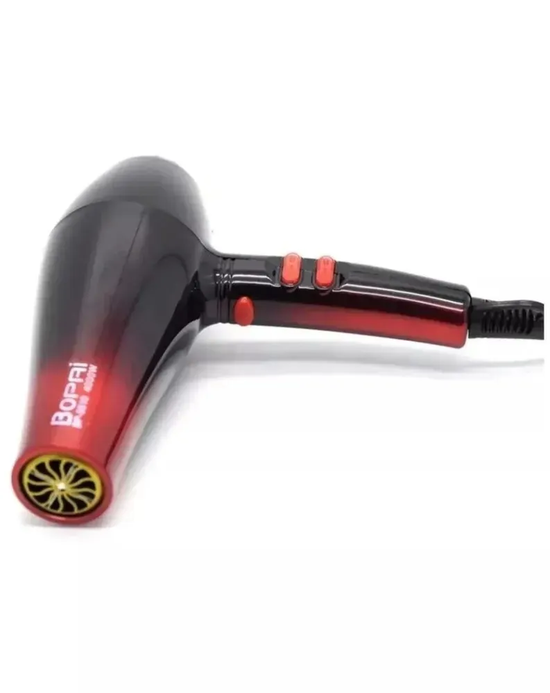 Hair Dryer BP-5500