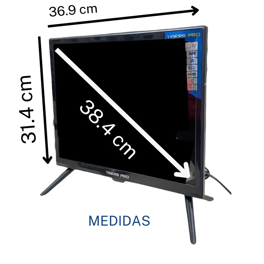 Televisor TG 19 (pulgadas) TDT Incorporada Conexión 110/12v