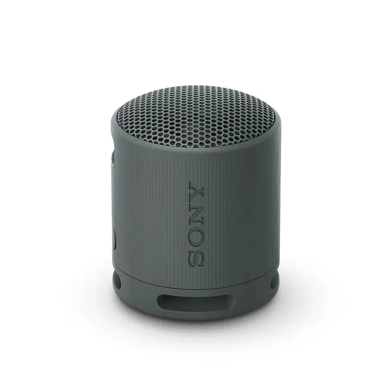 Parlante SONY SRS-XB100 Negro