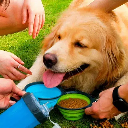 Termo Botella Frasco De Agua 2 Litros Con Pitillo Mascotas