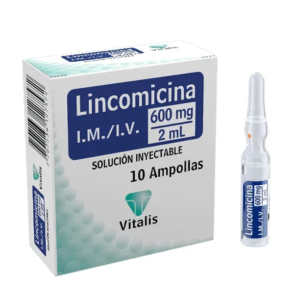 Lincomicina De 600Mg Ampolla (Vitalis)