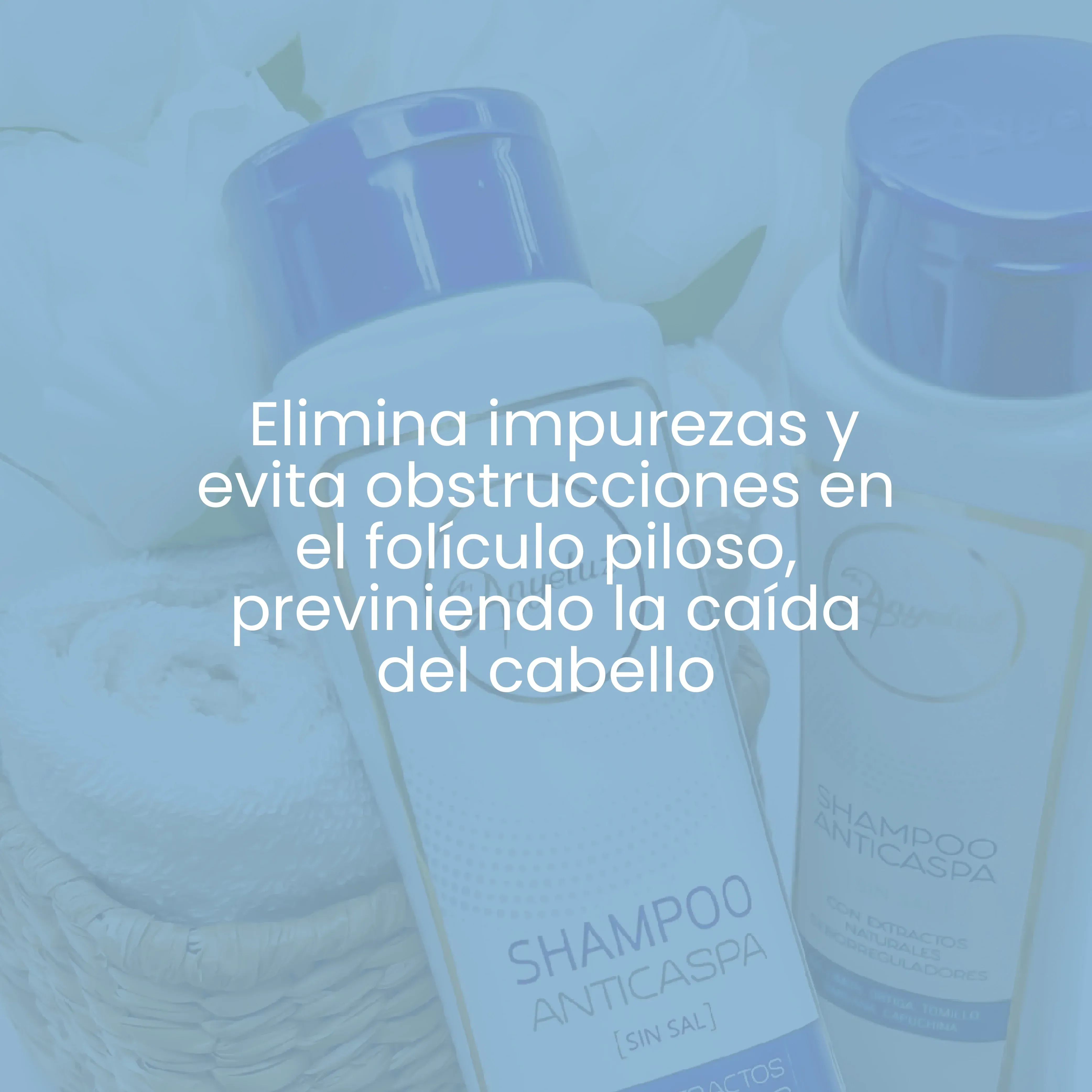 Shampoo Anticaspas Anyeluz 400ml