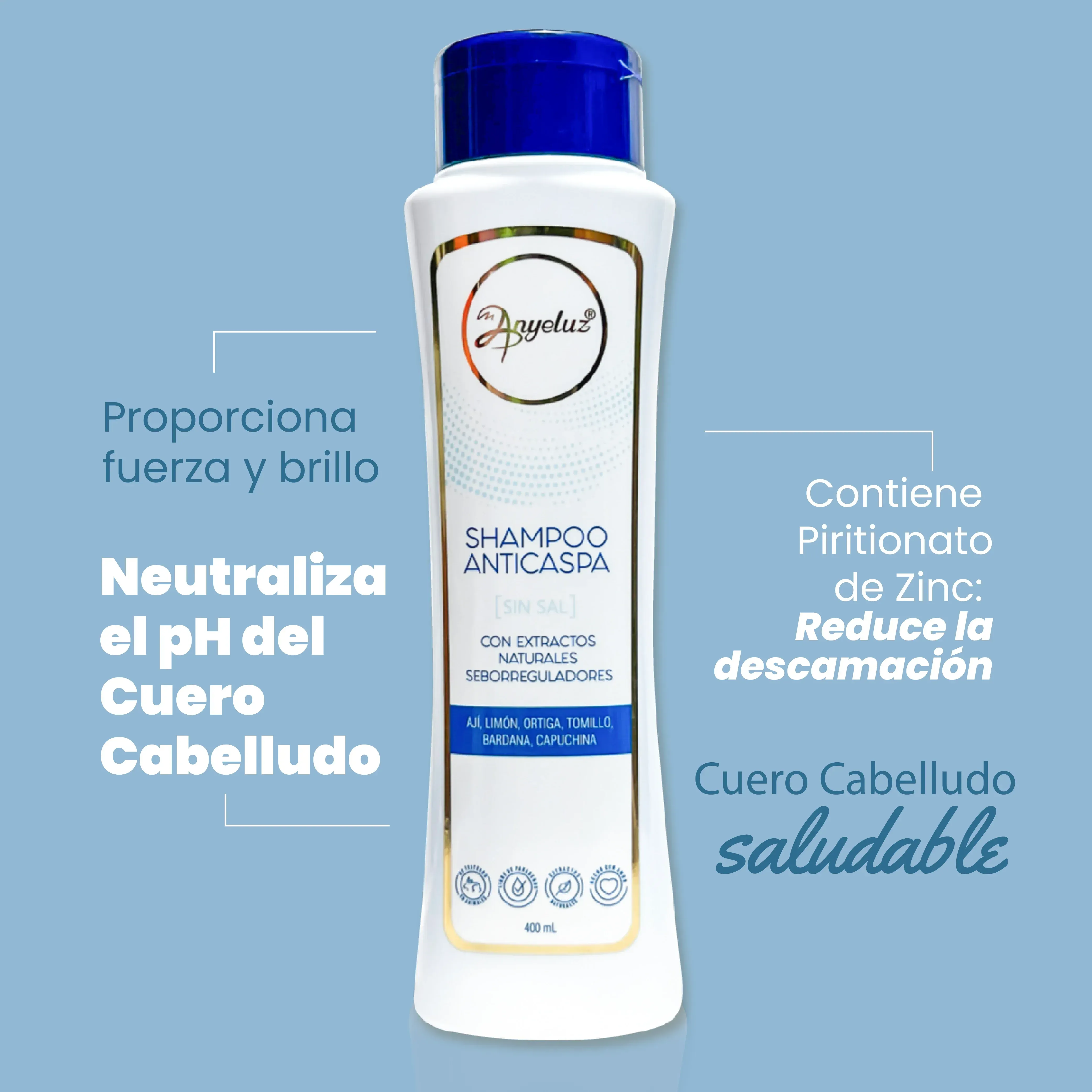 Shampoo Anticaspas Anyeluz 400ml