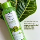  Shampoo De Aloe Vera Anyeluz 