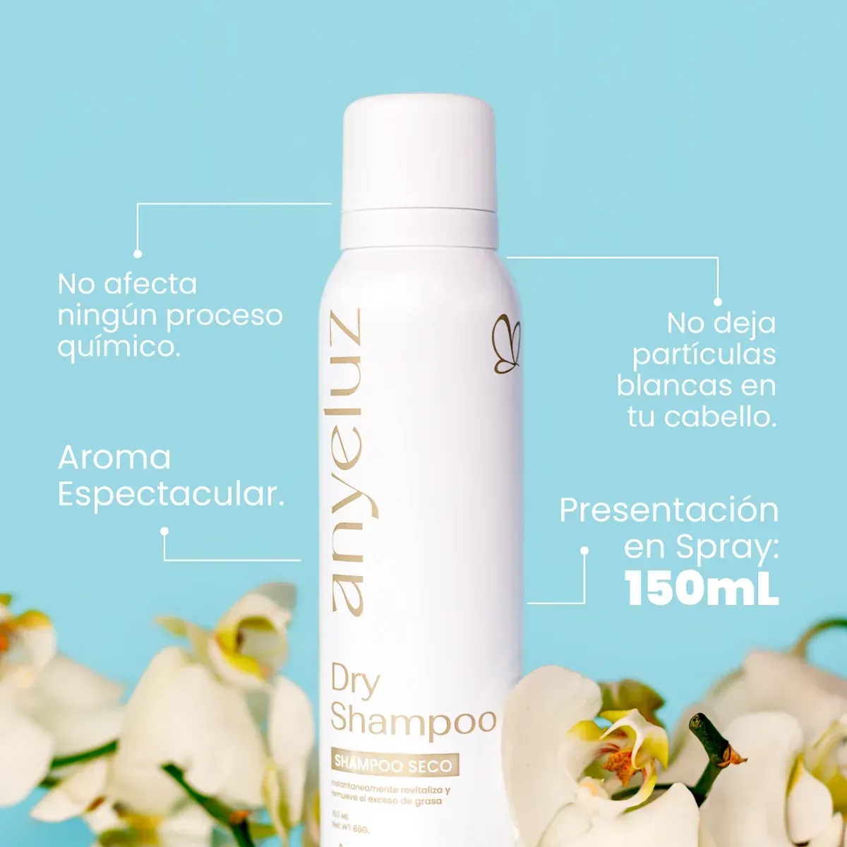 Shampoo Seco De Anyeluz 