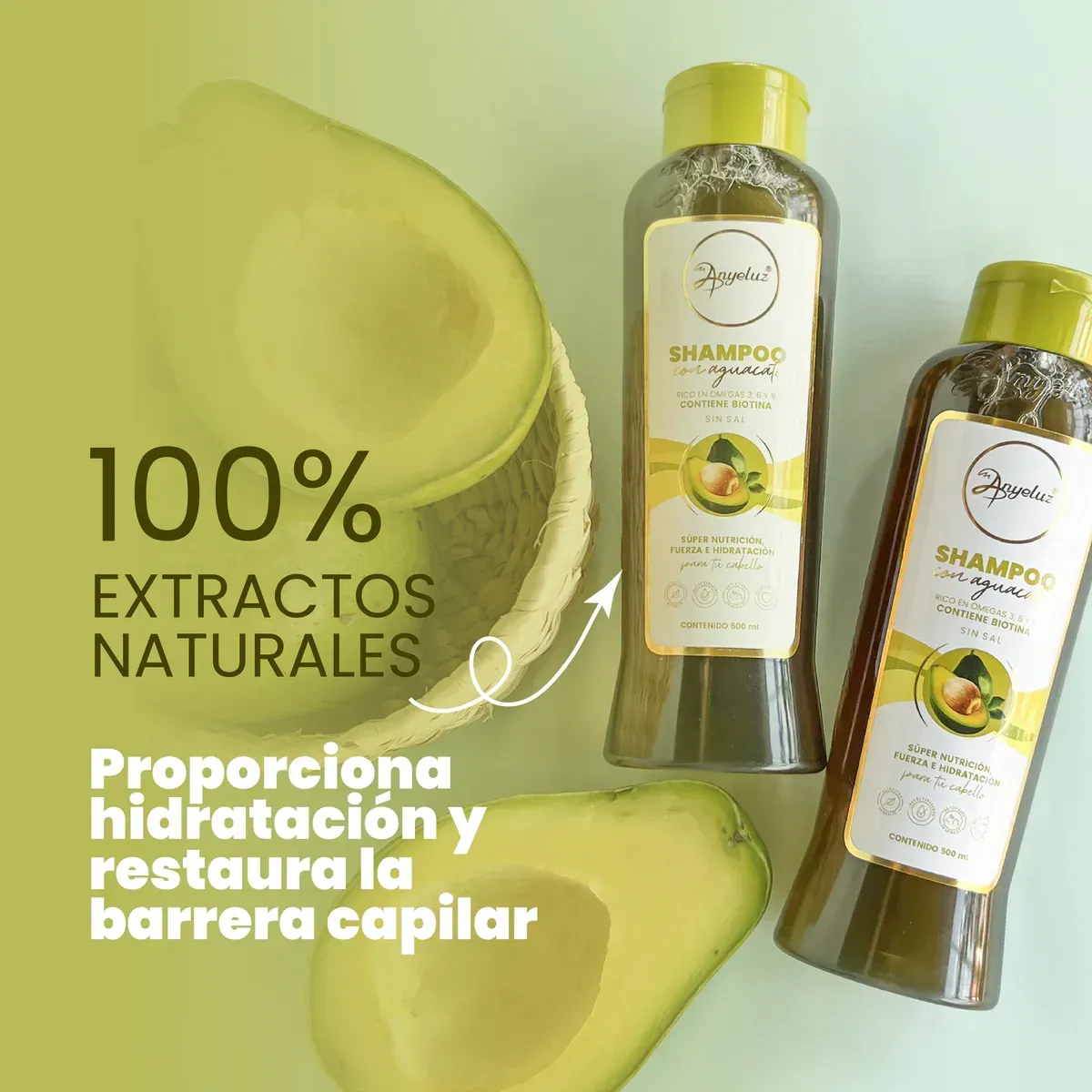 Shampoo Con Aguacate De Anyeluz 