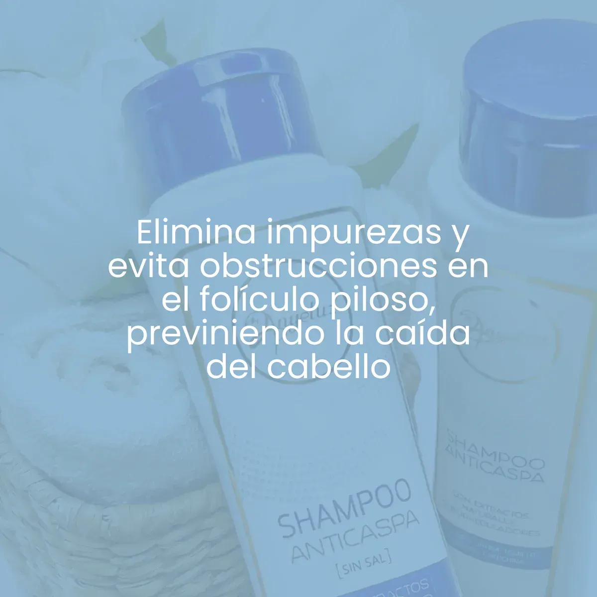 Shampoo Anticaspa De Anyeluz 