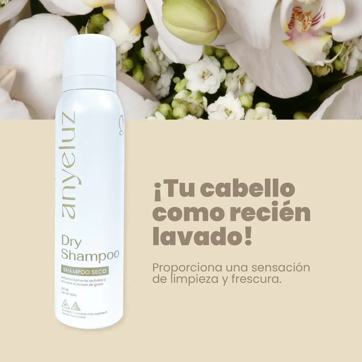 Shampoo Seco De Anyeluz 