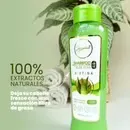  Shampoo De Aloe Vera Anyeluz 