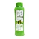  Shampoo De Aloe Vera Anyeluz 